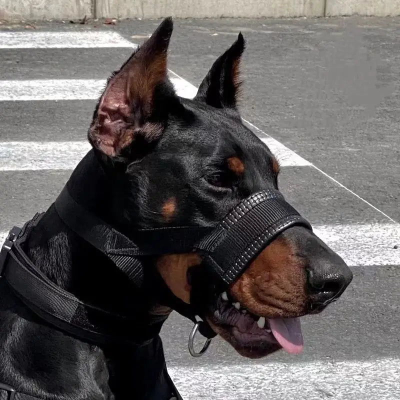 Bozal Para Perros Anti-Mordeduras y Ladridos.