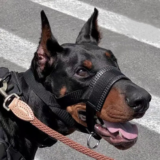 Bozal Para Perros Anti-Mordeduras y Ladridos.