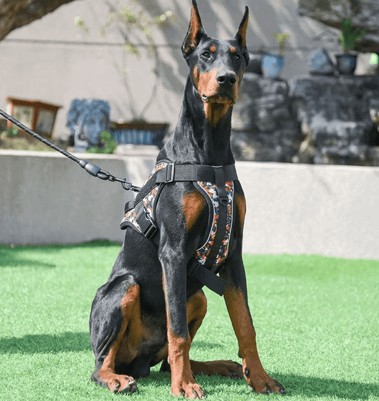 Arnés táctico personalizado para perro, ajustable. - PawPetty