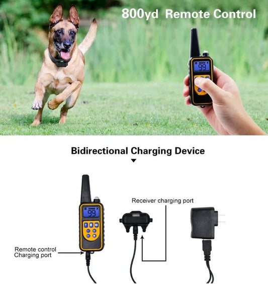 Collar de entrenamiento eléctrico para perros, resistente al agua, con control remoto, recargable y regulable.. - PawPetty