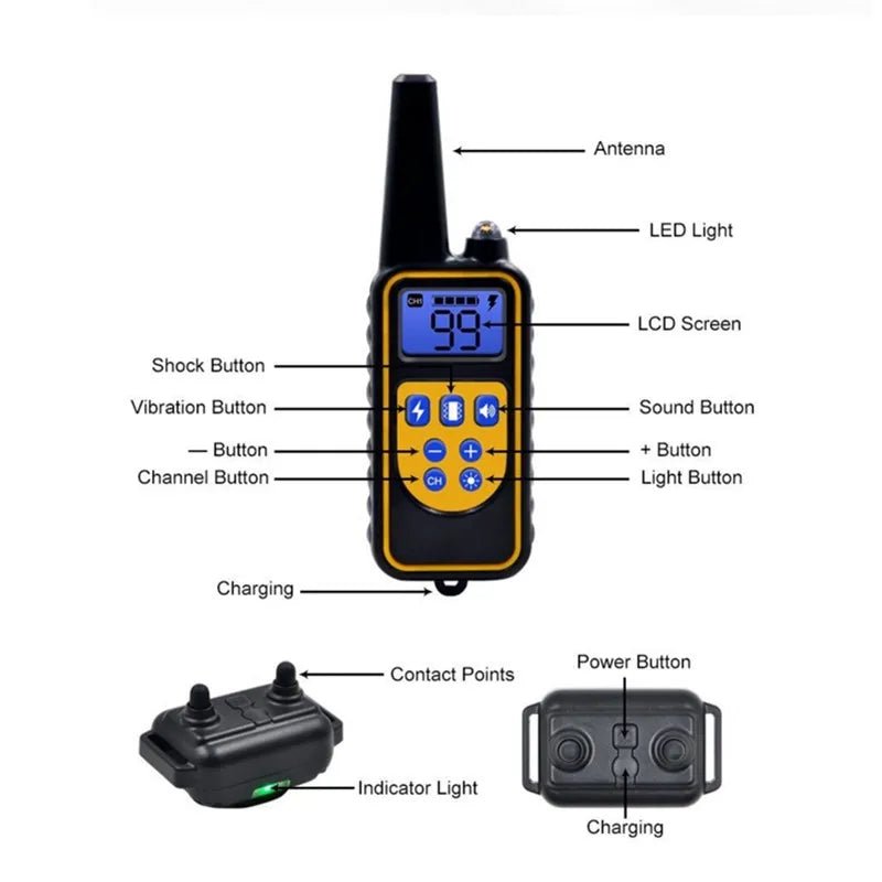 Collar de entrenamiento eléctrico para perros, resistente al agua, con control remoto, recargable y regulable.. - PawPetty