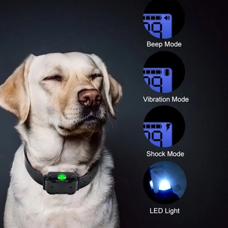 Collar de entrenamiento eléctrico para perros, resistente al agua, con control remoto, recargable y regulable.. - PawPetty