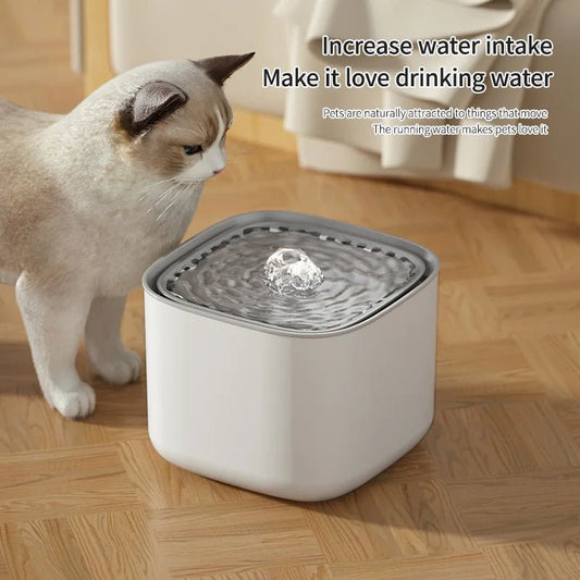 Fuente para gatos automática - PawPetty