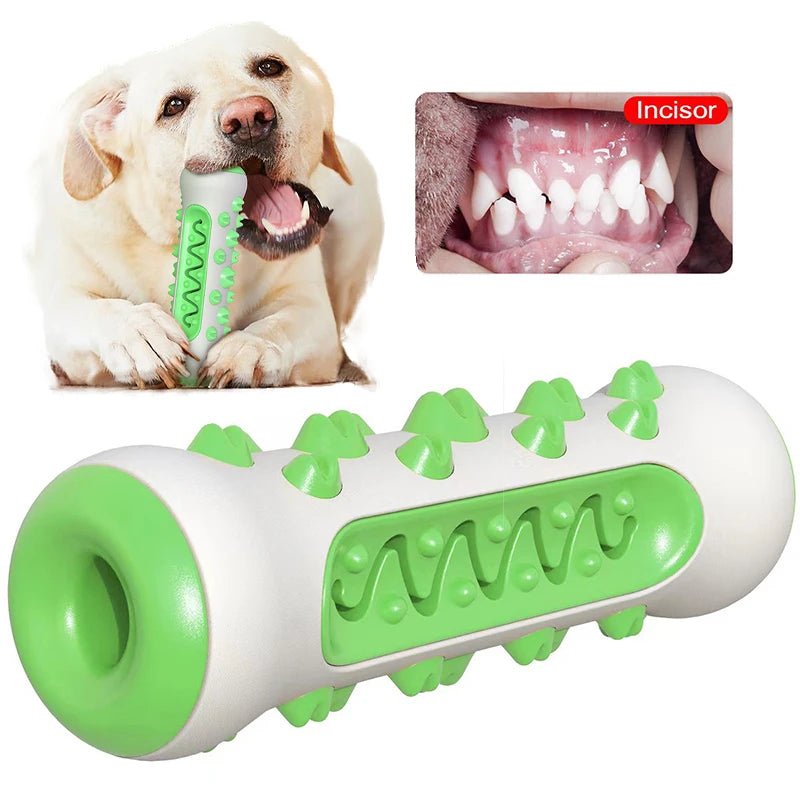 Cepillo de dientes hecho de goma para perros - PawPetty