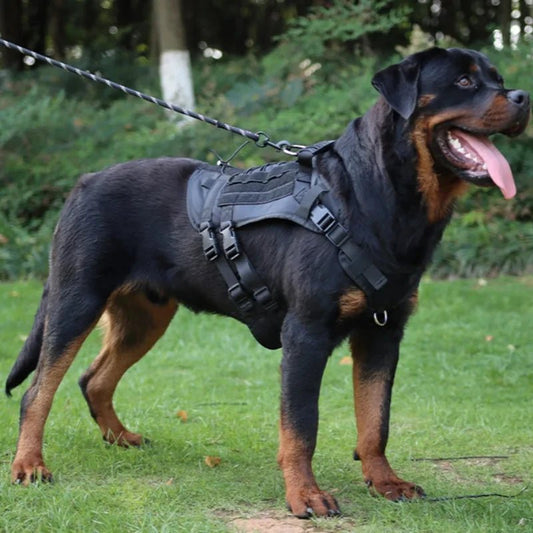 Chaleco táctico militar para perros. - PawPetty