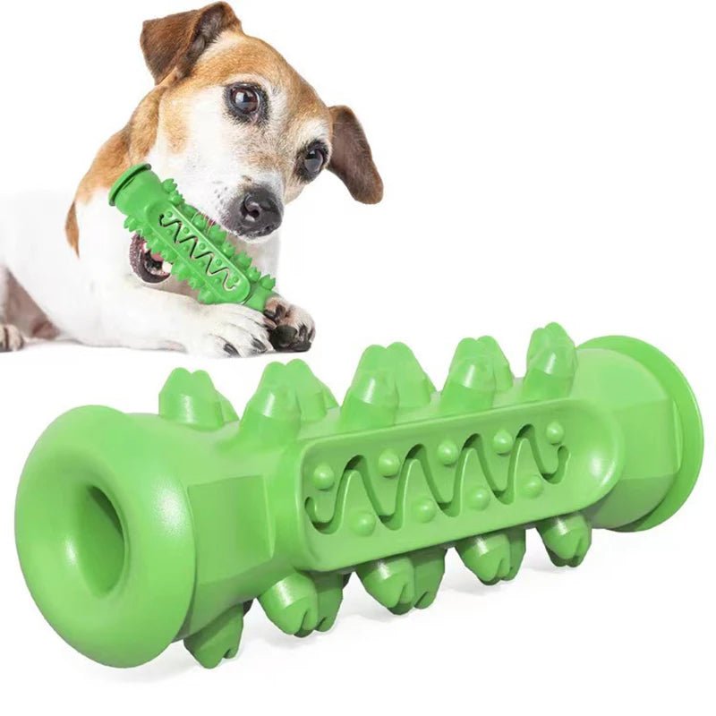 Cepillo de dientes hecho de goma para perros - PawPetty
