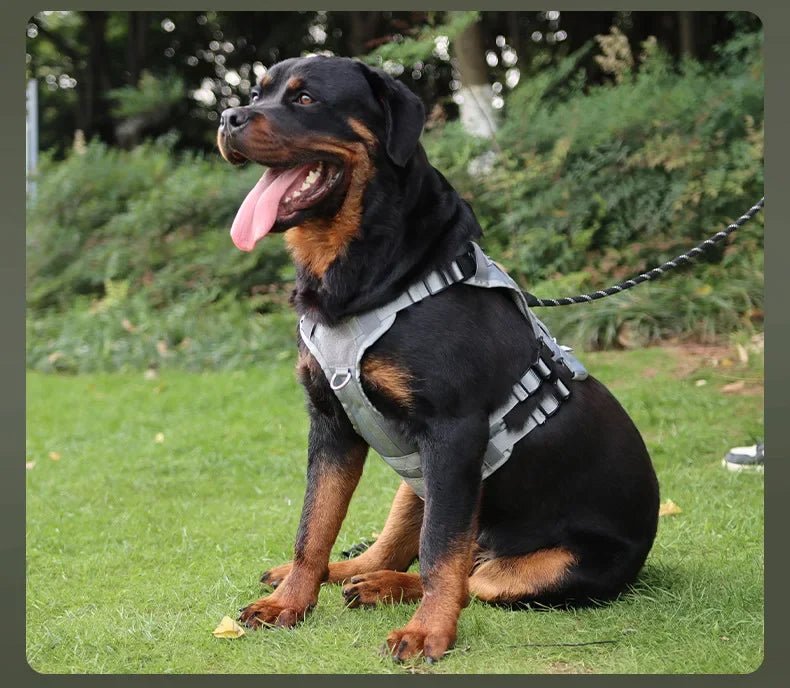 Chaleco táctico militar para perros. - PawPetty