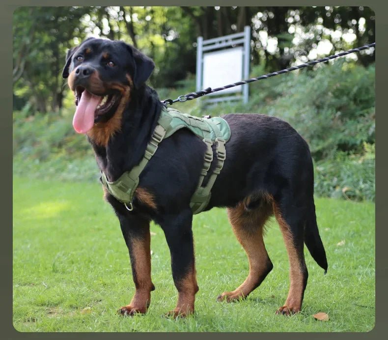 Chaleco táctico militar para perros. - PawPetty