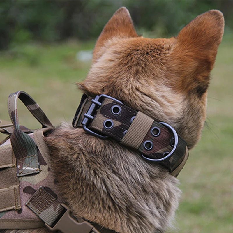 Collar militar ajustable echo de Nylon. - PawPetty