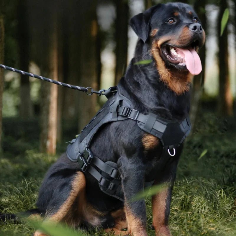 Chaleco táctico militar para perros. - PawPetty